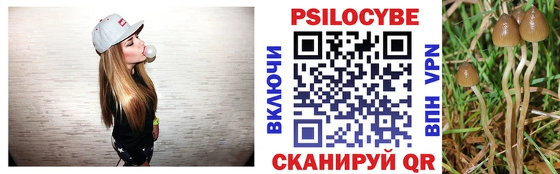 Псилоцибиновые грибы ЛСД Саянск