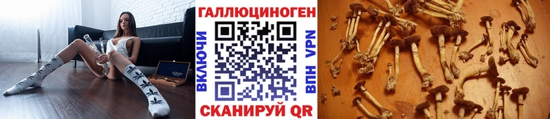 shop клад  Саянск  Галлюциногенные грибы Psilocybine cubensis 